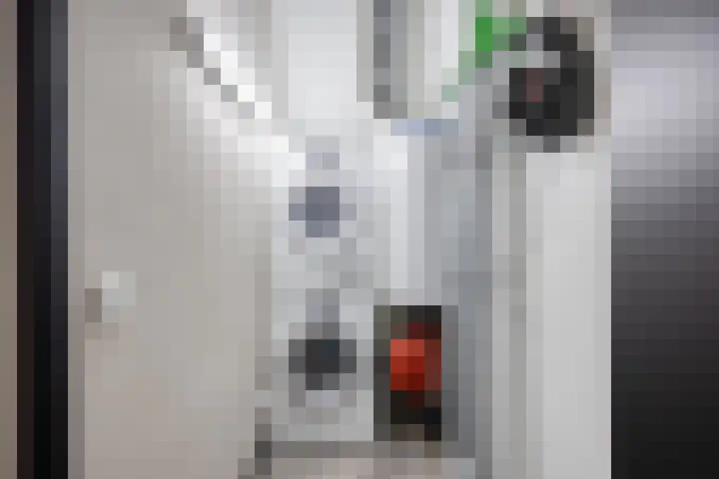 Koekoekzoom 35 Pijnacker thumbnail 43