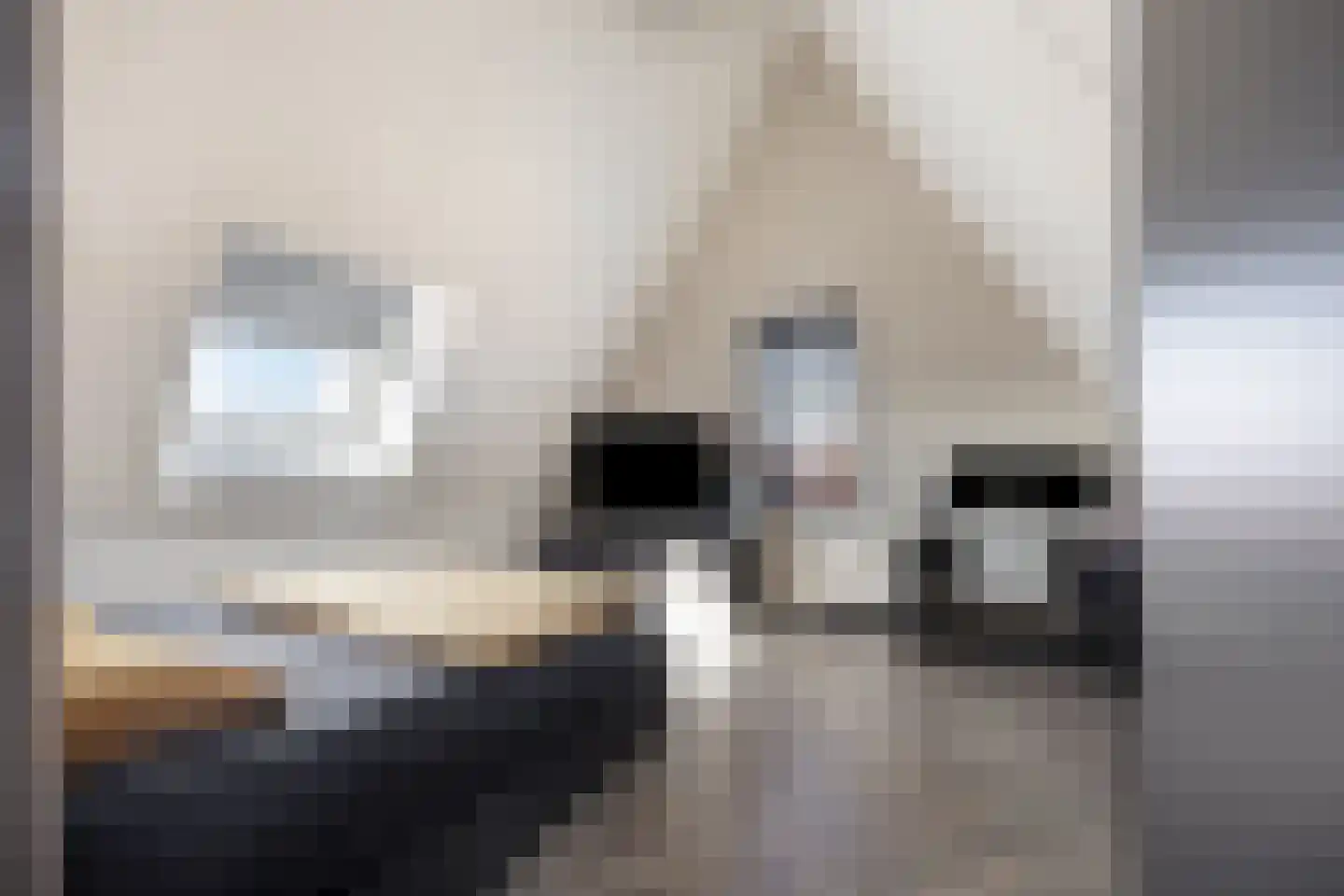 Koekoekzoom 35 Pijnacker thumbnail 44
