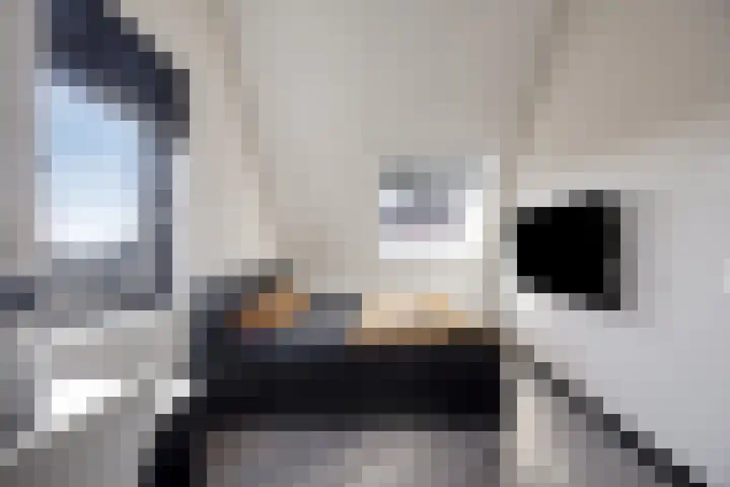 Koekoekzoom 35 Pijnacker thumbnail 45