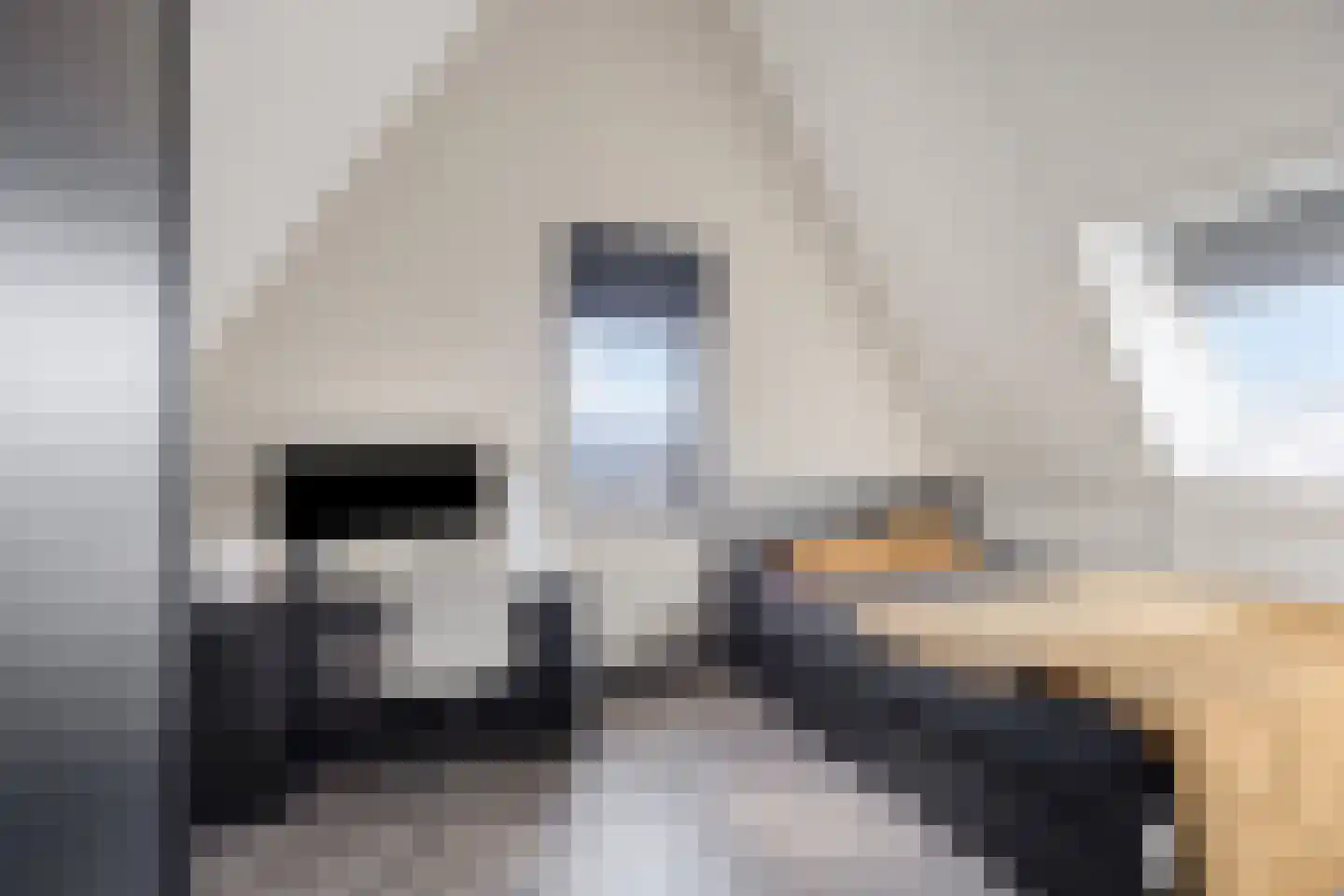 Koekoekzoom 35 Pijnacker thumbnail 48