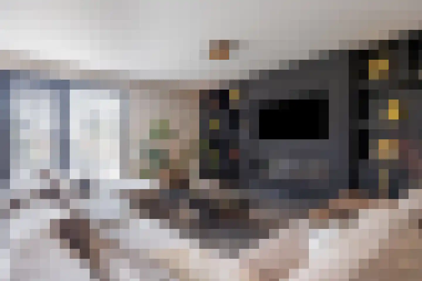 Koekoekzoom 35 Pijnacker thumbnail 5