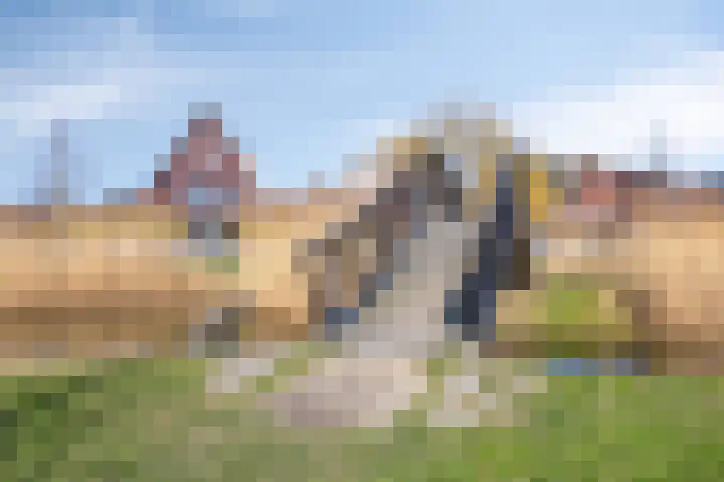 Koekoekzoom 35 Pijnacker thumbnail 60