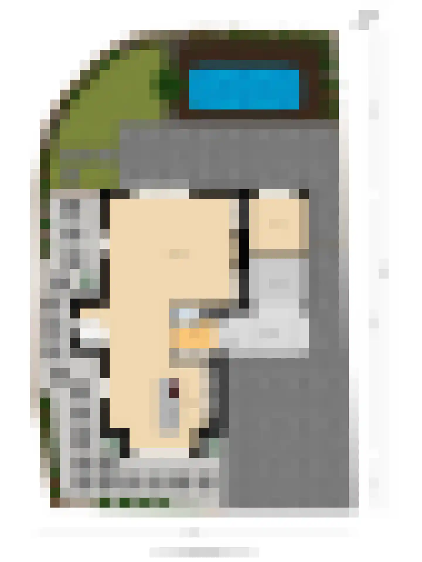 Koekoekzoom 35 Pijnacker thumbnail 61