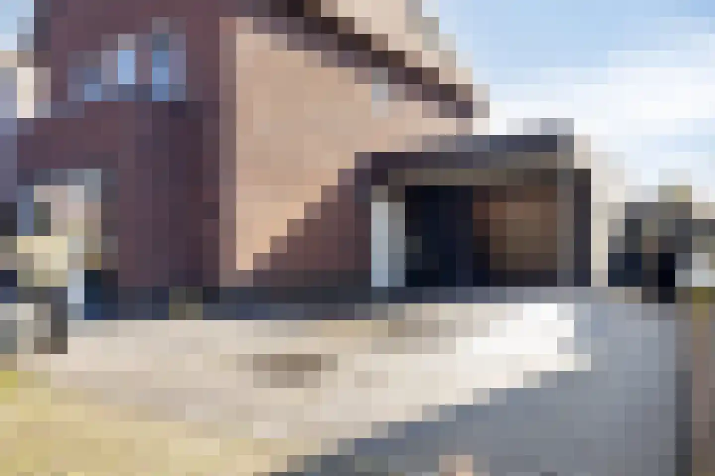 Koekoekzoom 35 Pijnacker thumbnail 8