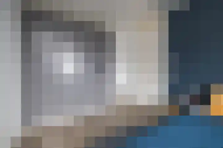 Koekoekzoom 60 Pijnacker thumbnail 10