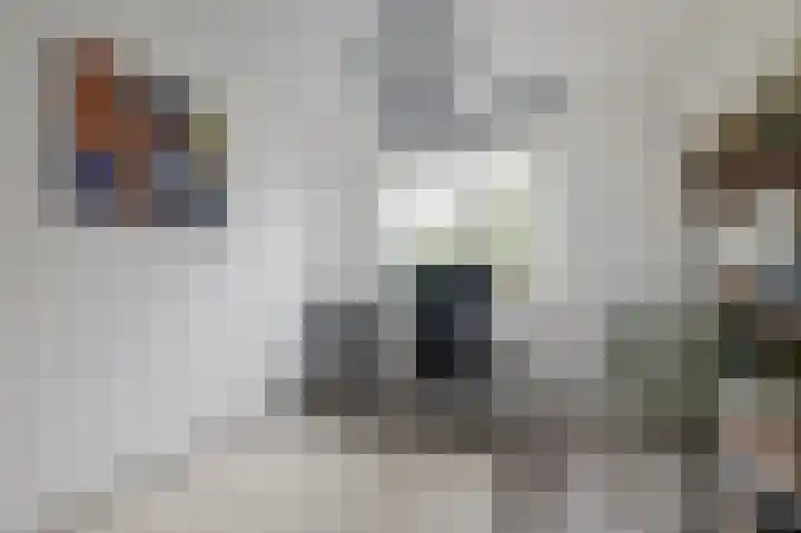 Koekoekzoom 60 Pijnacker thumbnail 12