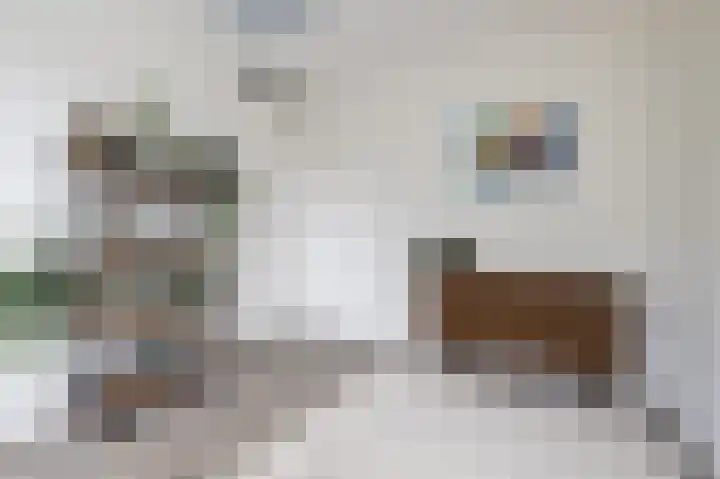 Koekoekzoom 60 Pijnacker thumbnail 13
