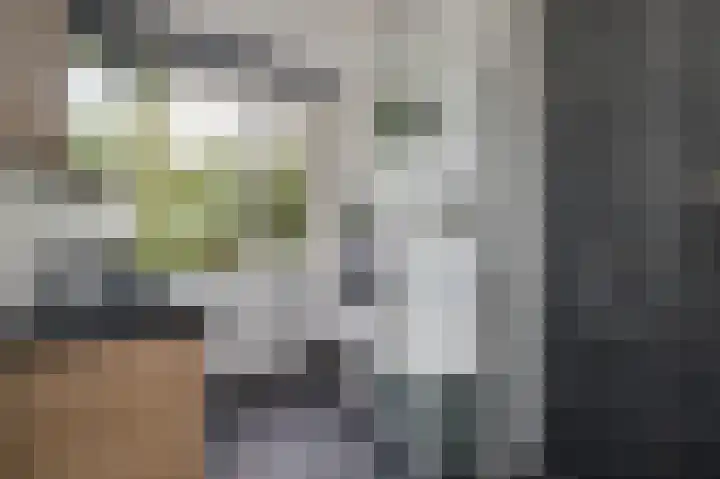 Koekoekzoom 60 Pijnacker thumbnail 14