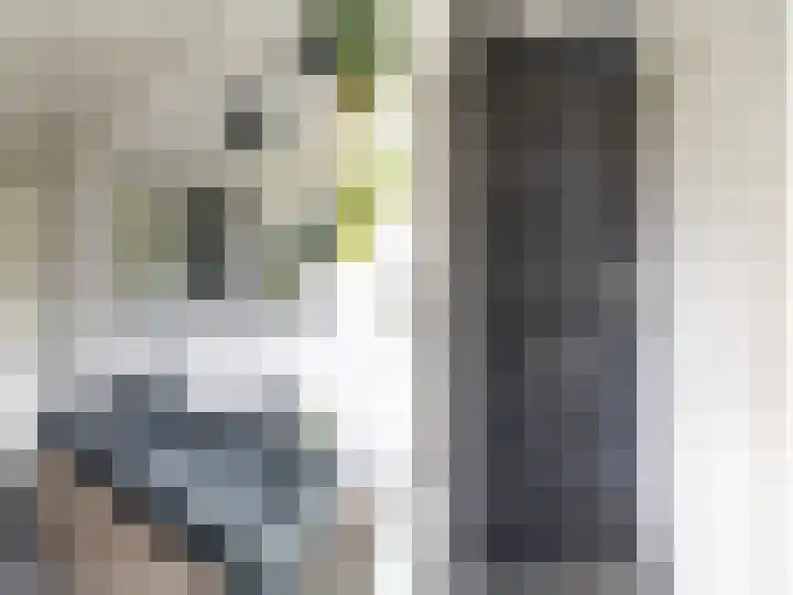 Koekoekzoom 60 Pijnacker thumbnail 15