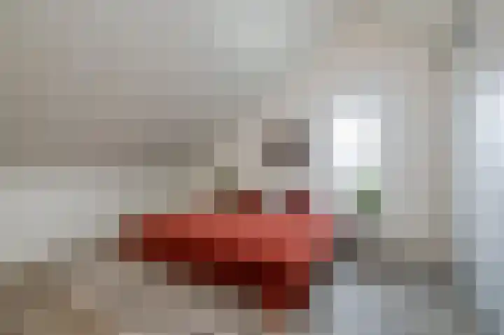 Koekoekzoom 60 Pijnacker thumbnail 17