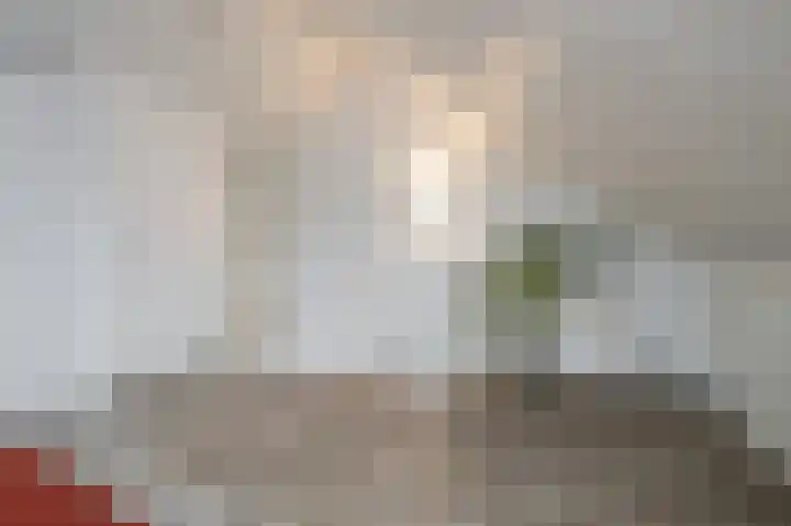 Koekoekzoom 60 Pijnacker thumbnail 18
