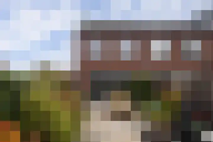 Koekoekzoom 60 Pijnacker thumbnail 22