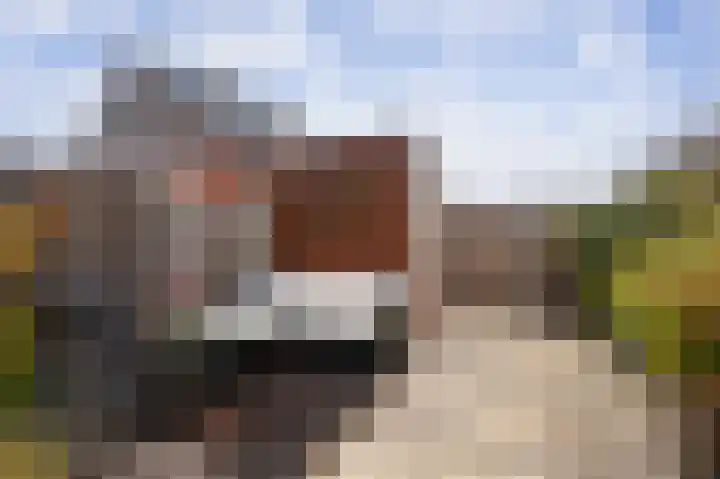 Koekoekzoom 60 Pijnacker thumbnail 23