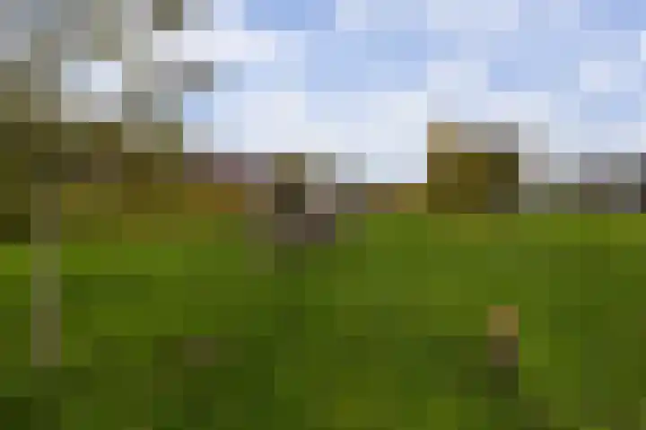 Koekoekzoom 60 Pijnacker thumbnail 25