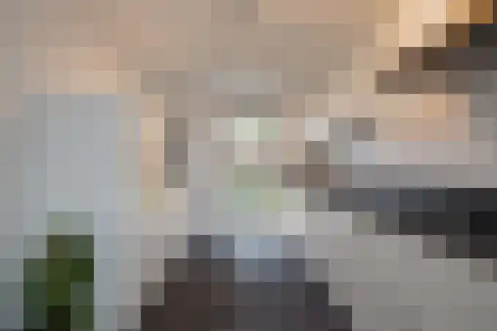 Koekoekzoom 60 Pijnacker thumbnail 6