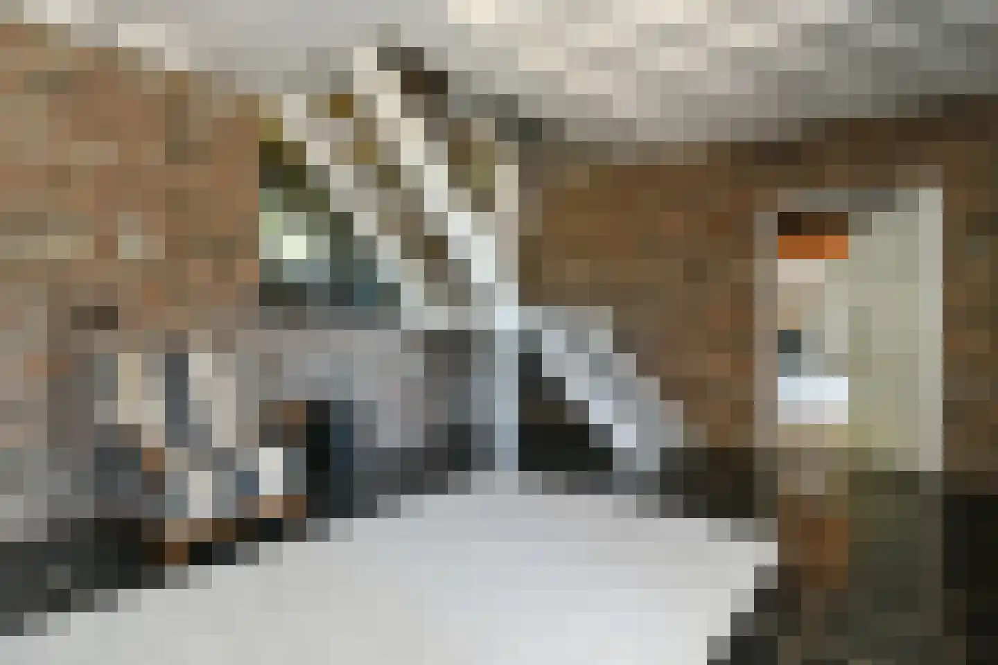 Koelderstraat 21 Venlo thumbnail 16