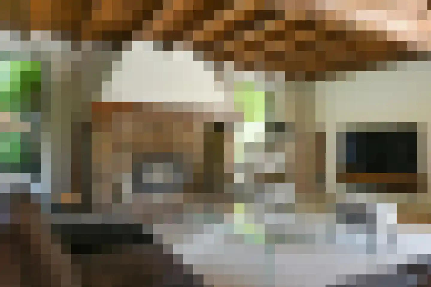 Koelderstraat 21 Venlo thumbnail 21