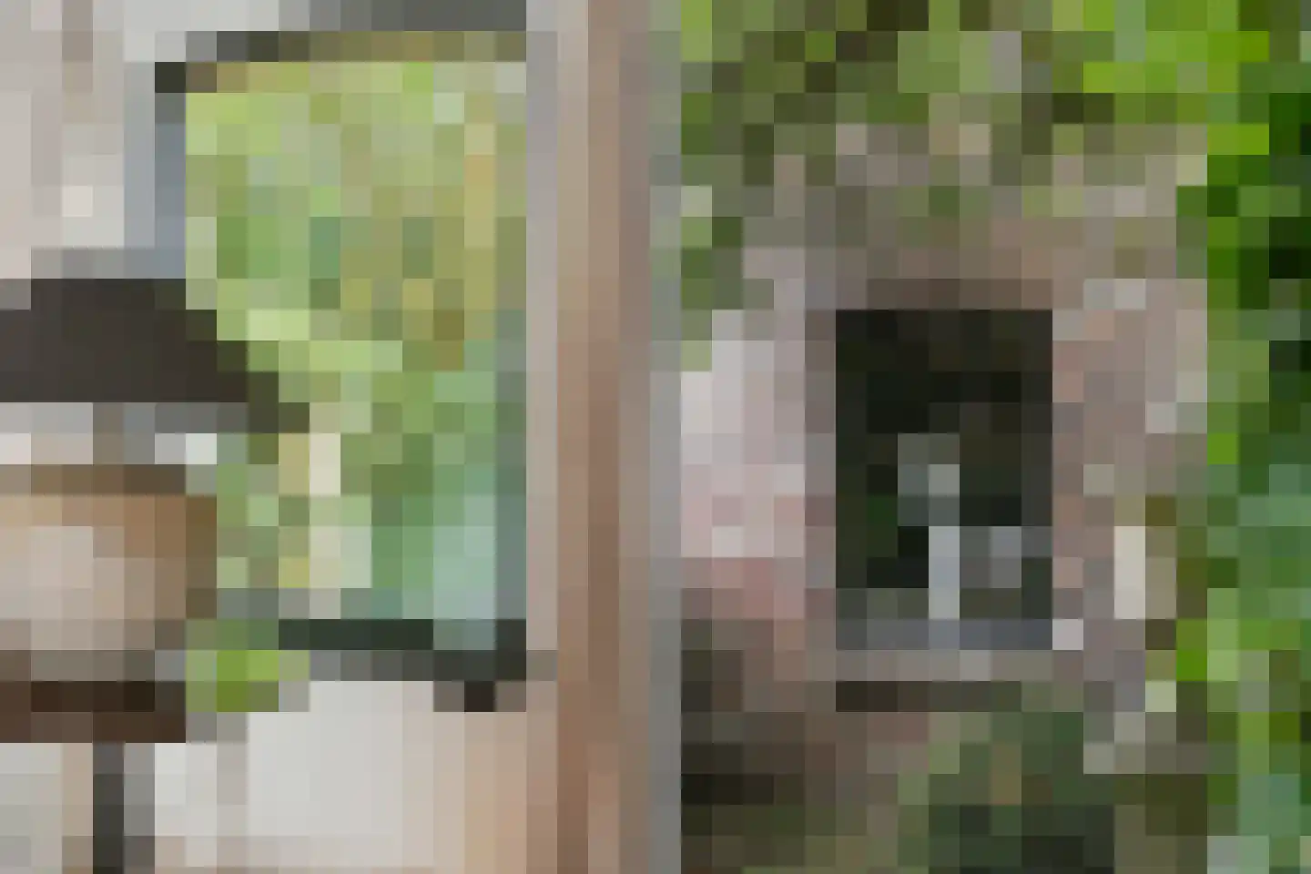 Koelderstraat 21 Venlo thumbnail 23