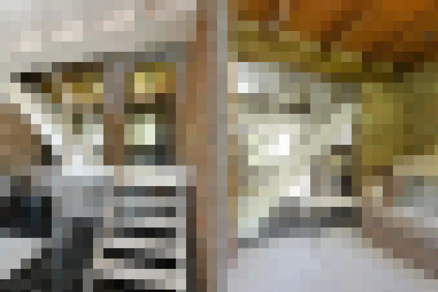 Koelderstraat 21 Venlo thumbnail 35