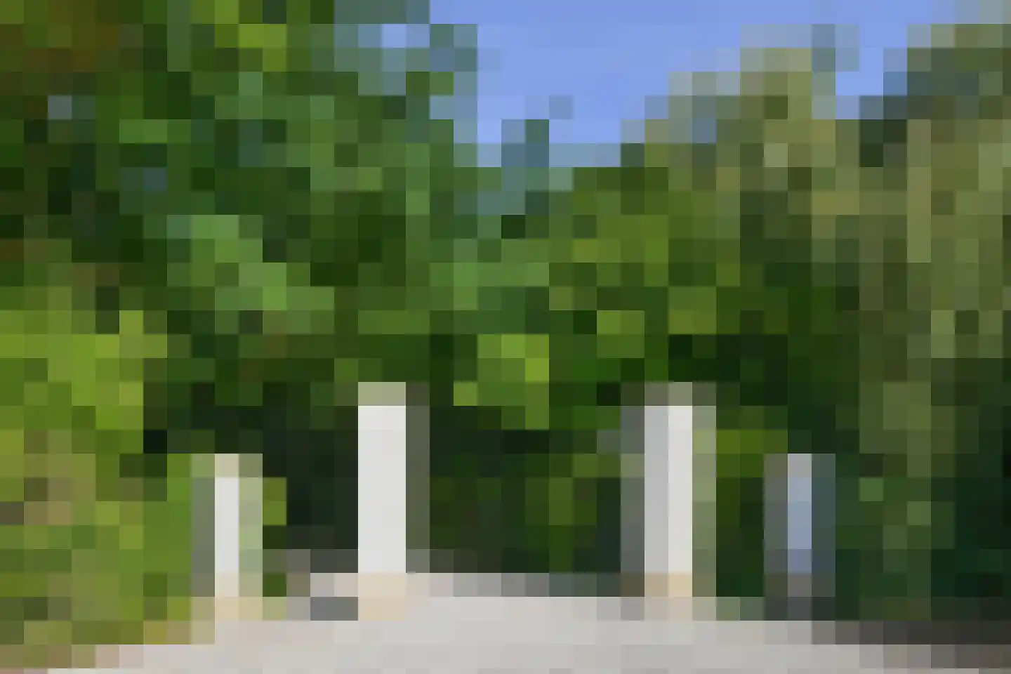 Koelderstraat 21 Venlo thumbnail 4