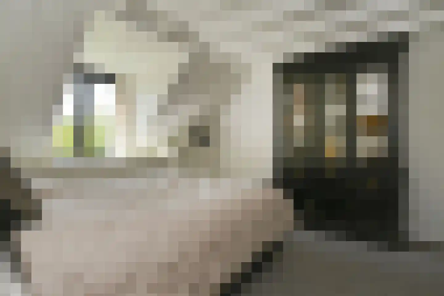 Koelderstraat 21 Venlo thumbnail 48