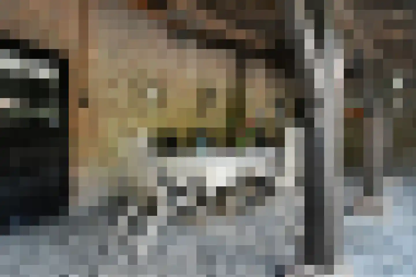 Koelderstraat 21 Venlo thumbnail 53