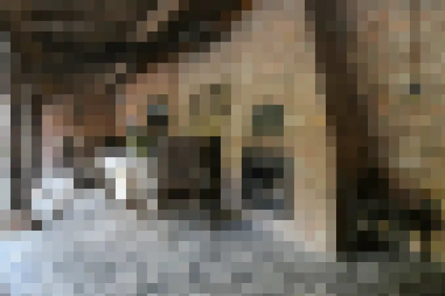 Koelderstraat 21 Venlo thumbnail 54