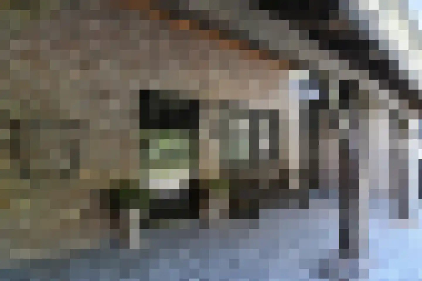 Koelderstraat 21 Venlo thumbnail 56