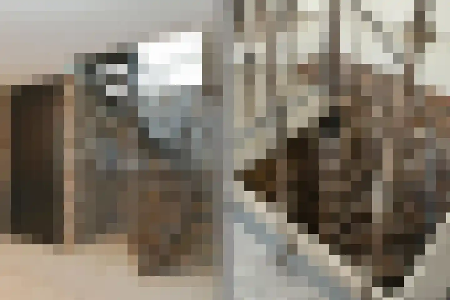 Koelderstraat 21 Venlo thumbnail 58