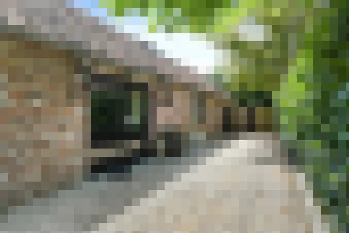 Koelderstraat 21 Venlo thumbnail 62
