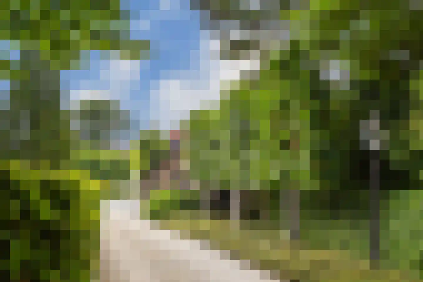 Koelderstraat 21 Venlo thumbnail 7