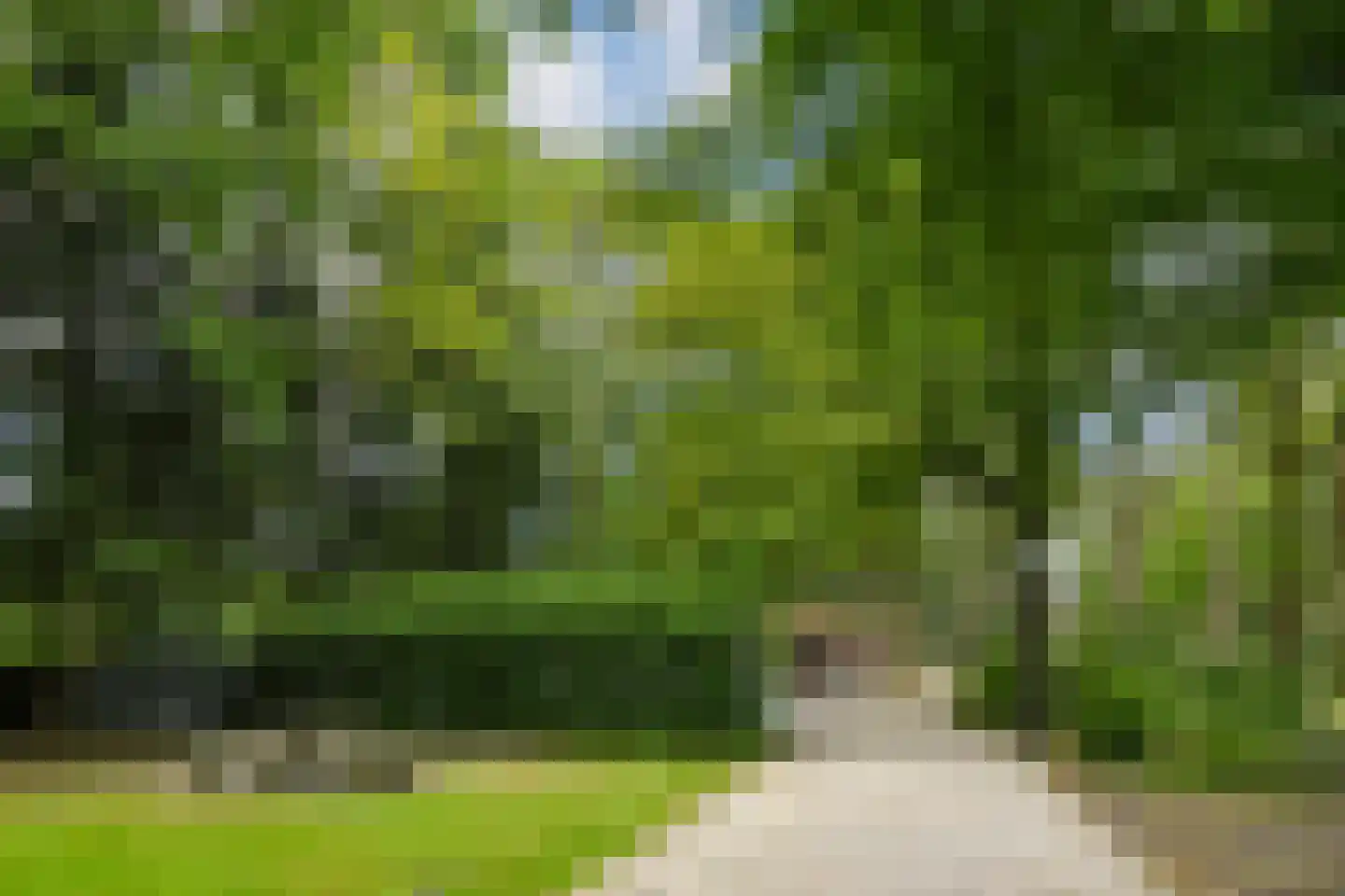 Koelderstraat 21 Venlo thumbnail 85