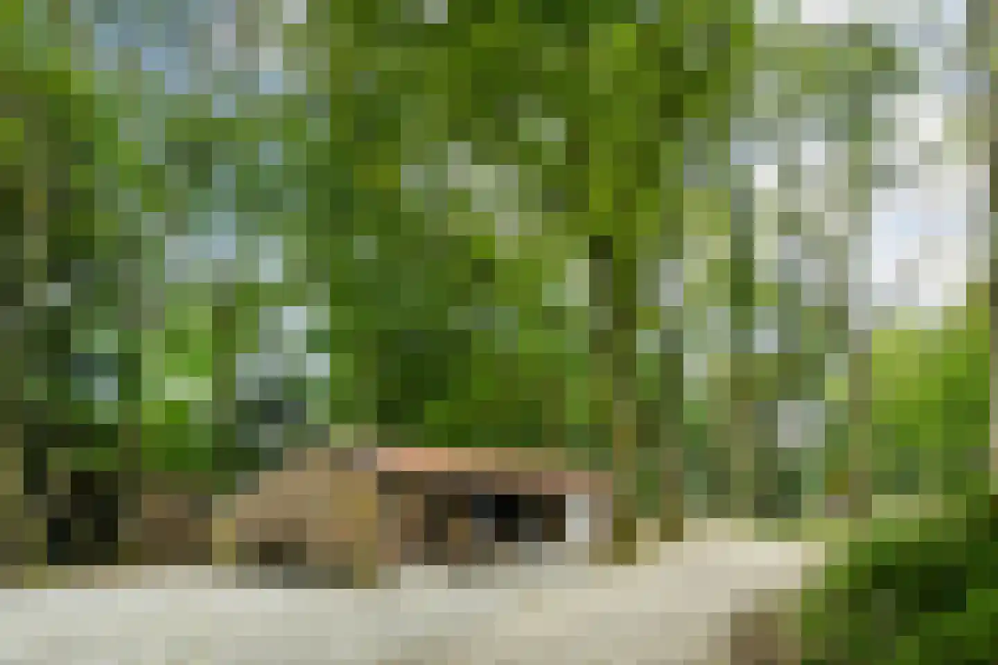 Koelderstraat 21 Venlo thumbnail 86
