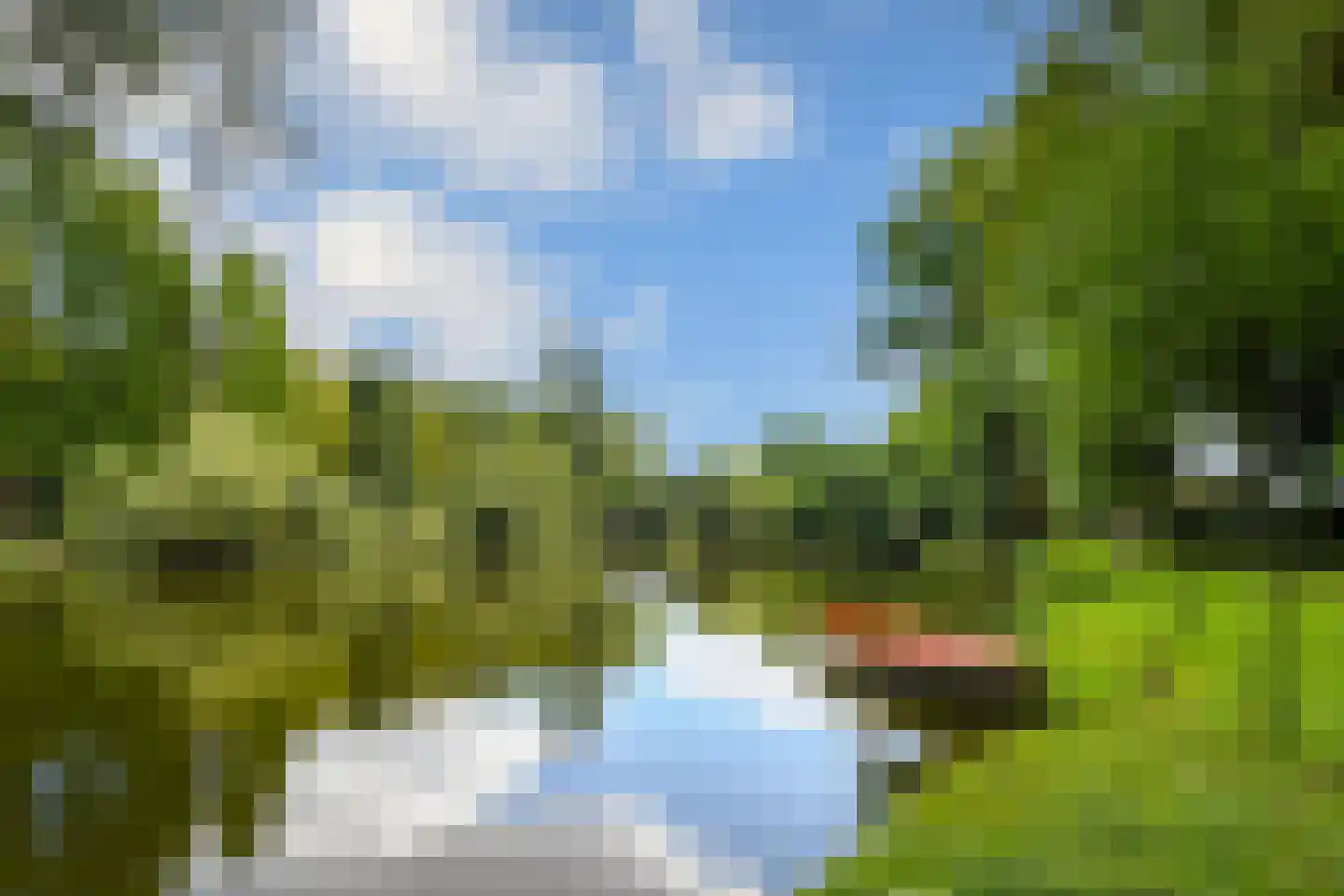 Koelderstraat 21 Venlo thumbnail 89