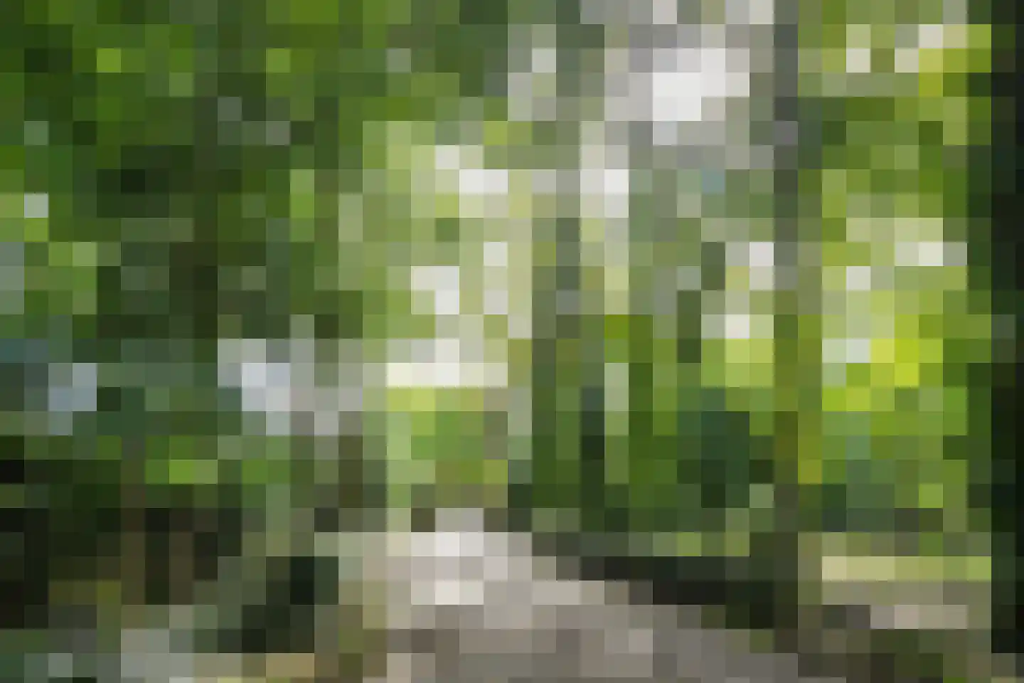 Koelderstraat 21 Venlo thumbnail 96