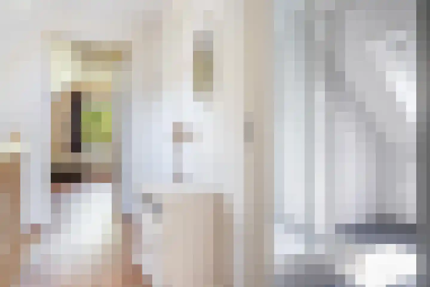 Koele 1 Appelscha thumbnail 19