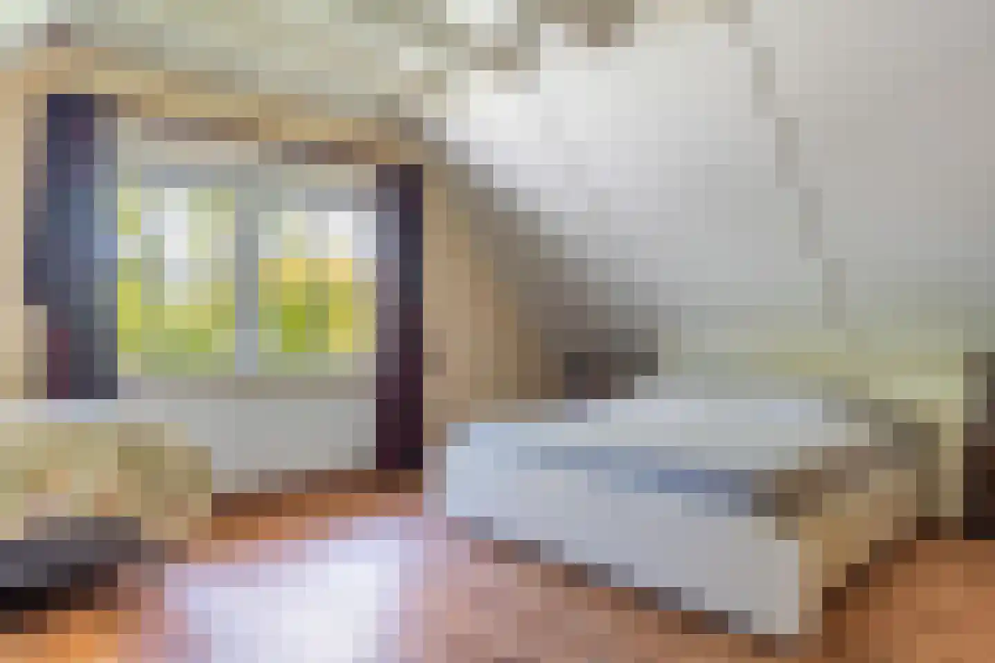 Koele 1 Appelscha thumbnail 24