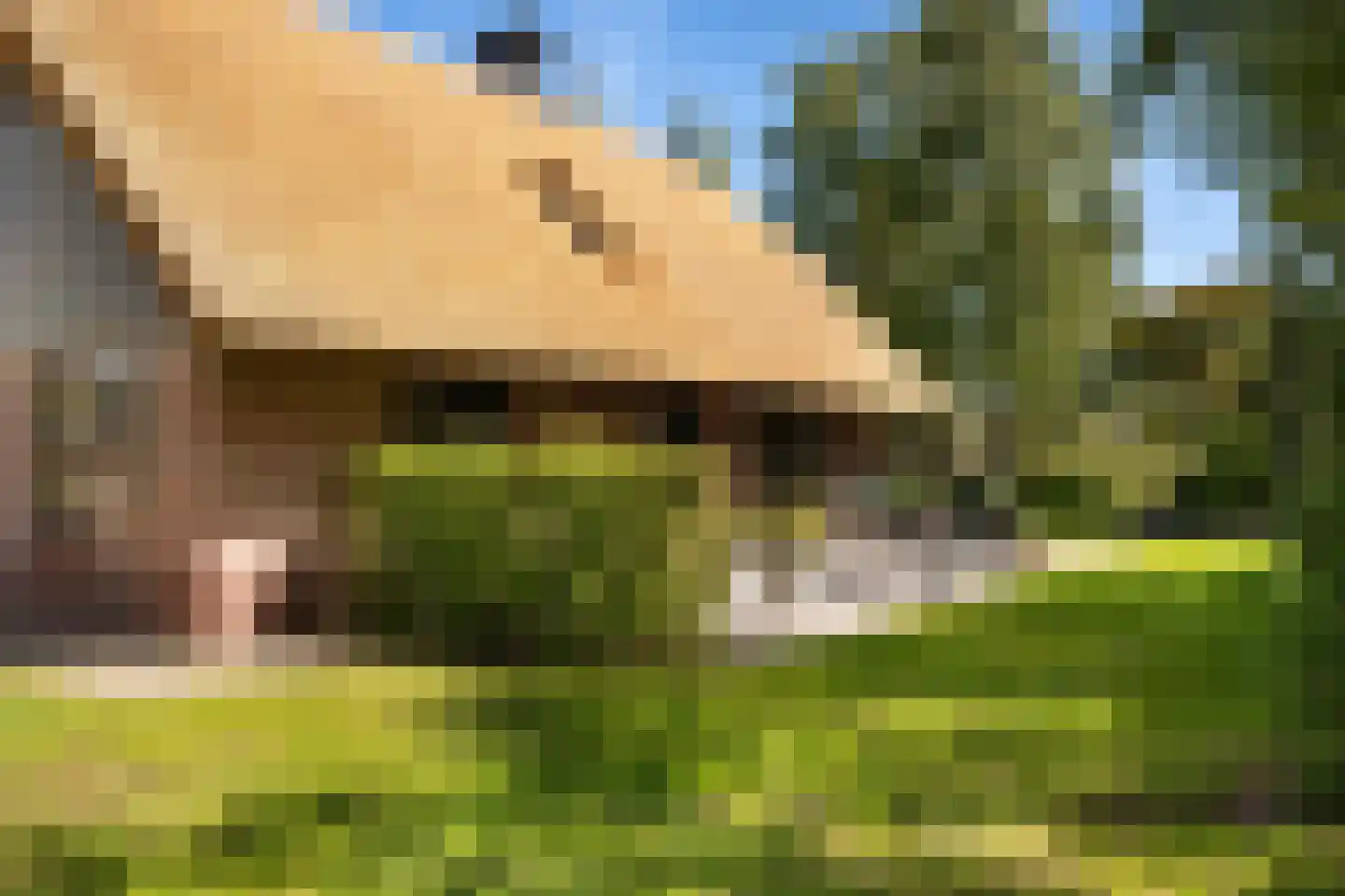 Koele 1 Appelscha thumbnail 26