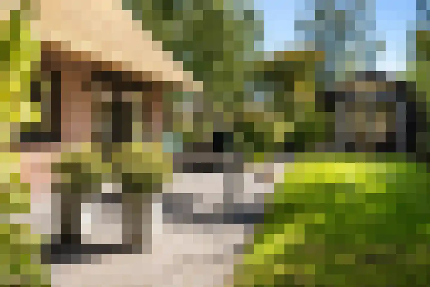 Koele 1 Appelscha thumbnail 27