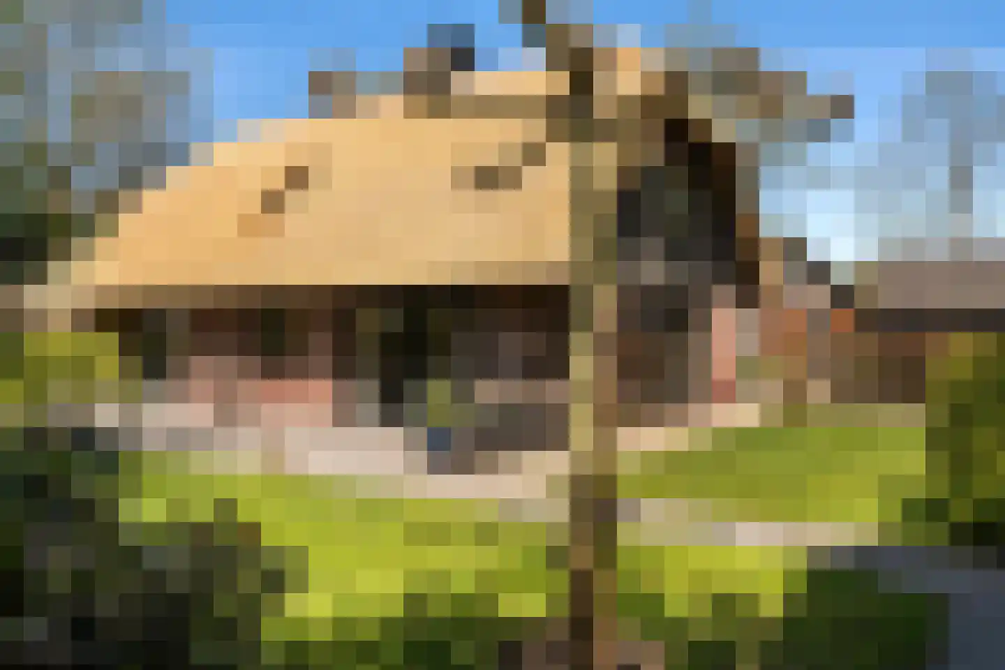 Koele 1 Appelscha thumbnail 30
