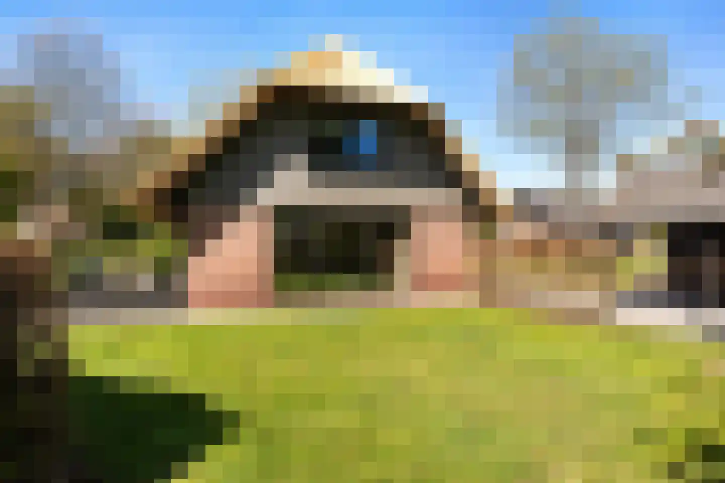 Koele 1 Appelscha thumbnail 31