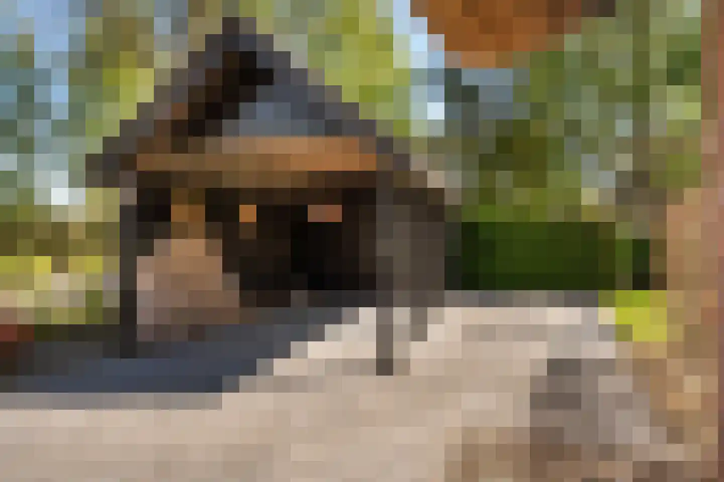 Koele 1 Appelscha thumbnail 33