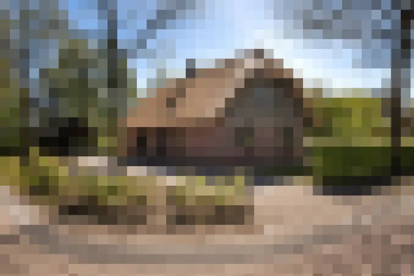 Koele 1 Appelscha thumbnail 35
