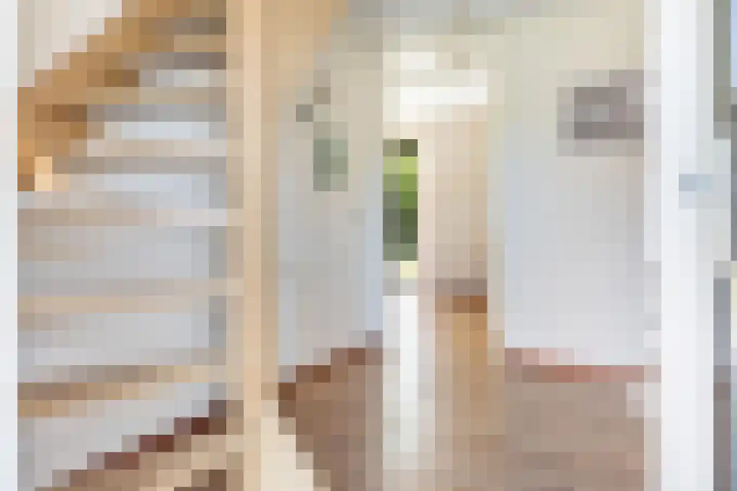 Koele 1 Appelscha thumbnail 7