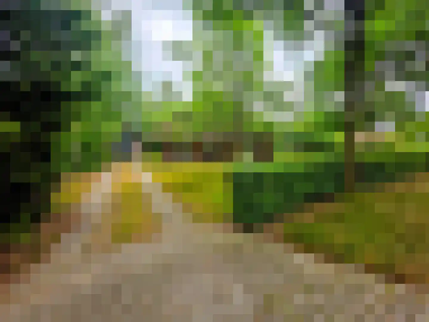 Koele 11 in Appelscha