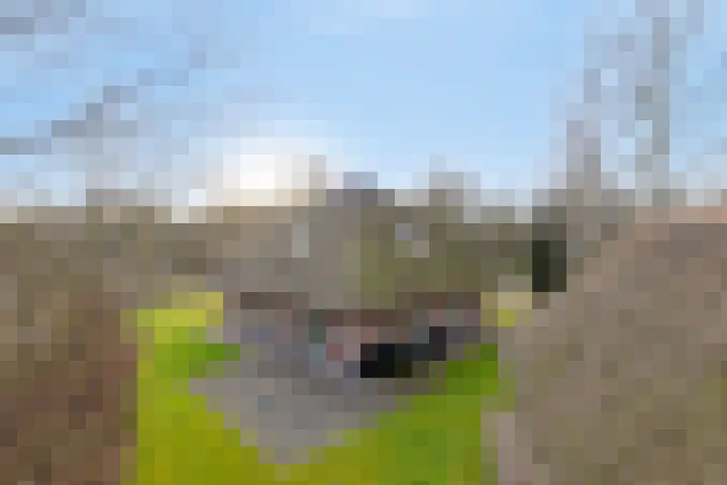 Koele 11 en Appelscha