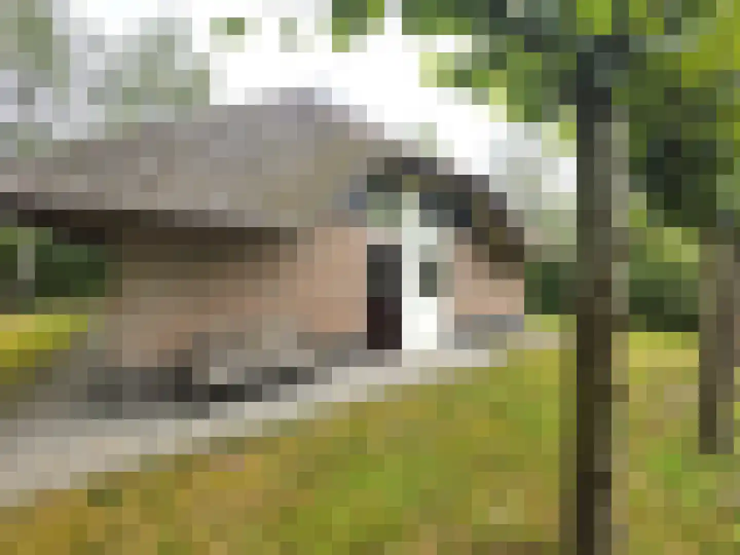 Koele 11 Appelscha thumbnail 21