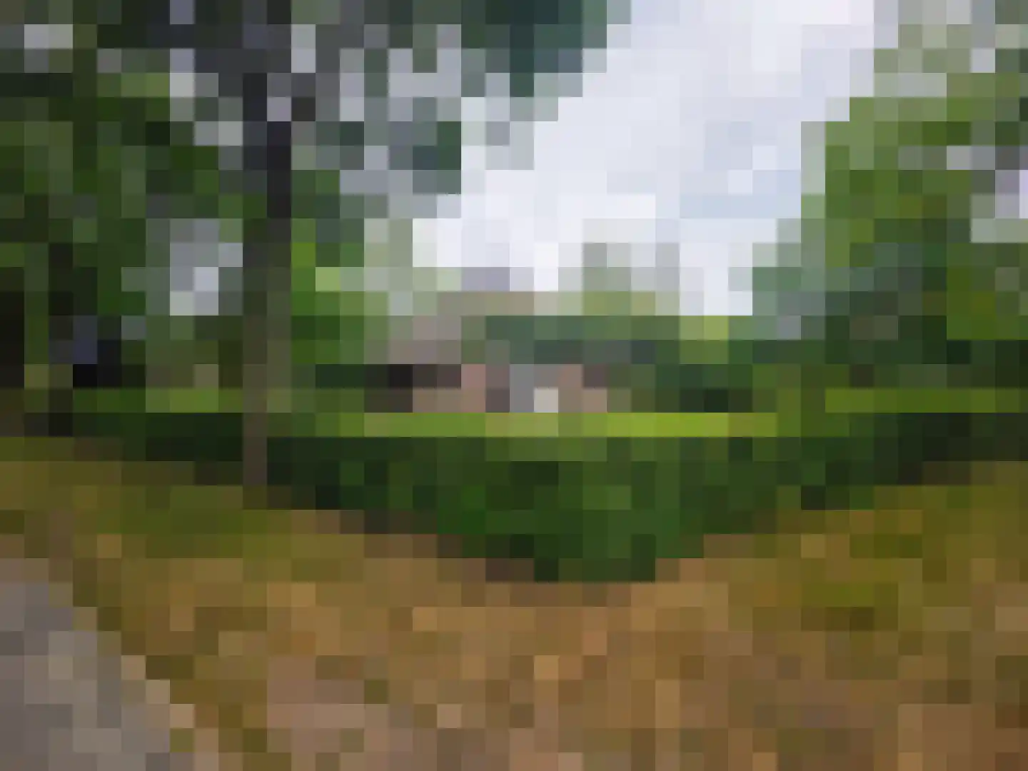 Koele 11 Appelscha thumbnail 24