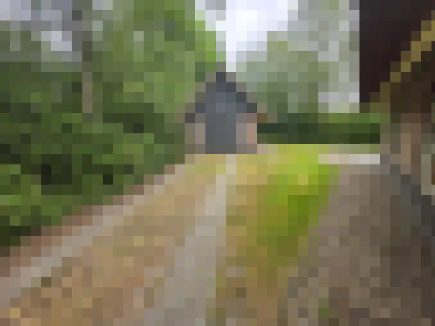 Koele 11 Appelscha foto 3