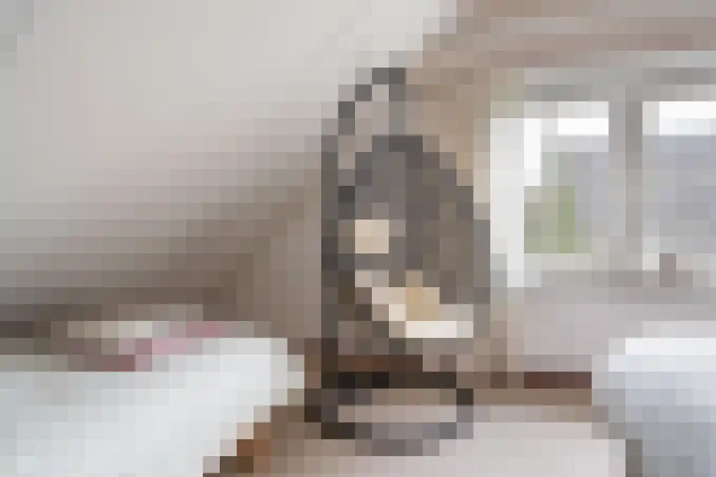 Koele 16 Appelscha thumbnail 28
